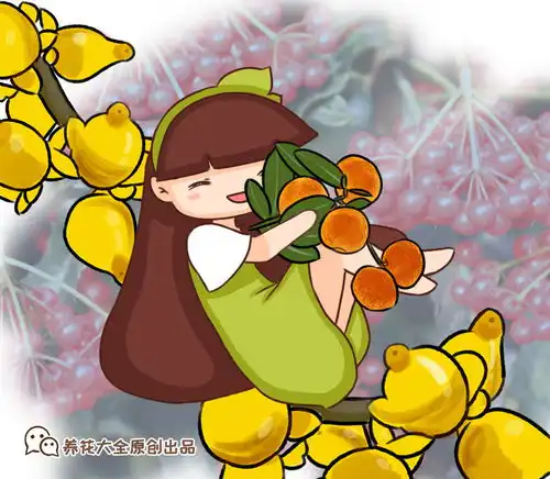 6种好养的绿植,摆放在阳台,旺运又招财
