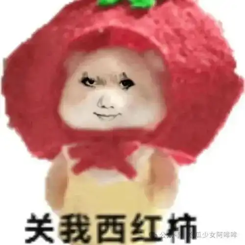 20岁女孩半年结婚5次,被男方控指骗彩礼,引发网友热议

