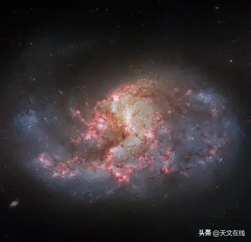 相同的星系,不同的滤镜hst
