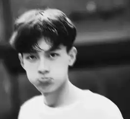 和明星撞脸是什么体验哈哈哈评论xswl
