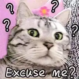掉下的猫毛收集起来大有用处
