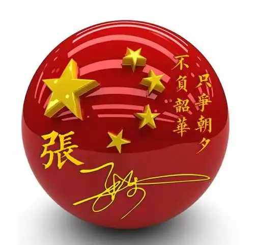 微信头像,爱国励志签名版第一期,不负韶华只争朝夕,不要错过
