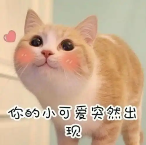 定向世园会,越野越青春
