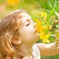 萌娃头像男韩国正太微信头像图片大全
