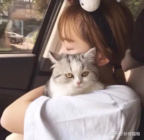 头像男抱猫女生