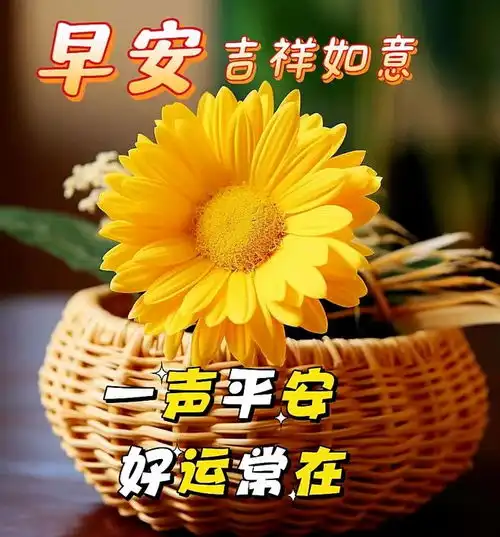 发中老年人温馨的早安祝福,夕阳年华啥不求,身体棒棒才算牛
