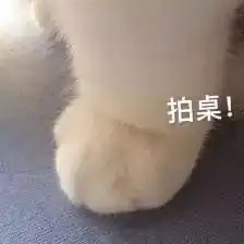 又双叒叕见活雷锋人称天使的那种
