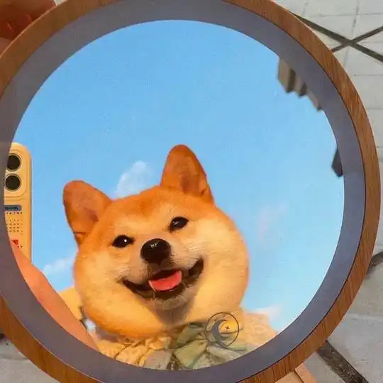 张易困的相册以后就可以随心所欲换头像了
