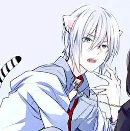 人前人后,都宠你如一的星座
