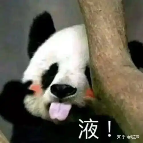 有什么像雪中一样好看的小说
