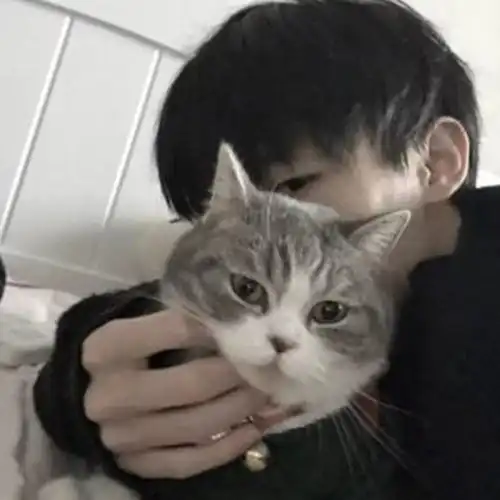 我中意你莎莎高音质在线试听我中意你歌词歌曲下载酷狗音乐
