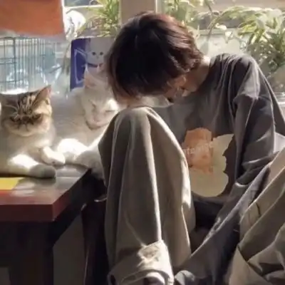 ins小清新文艺范男头足够温柔的男生头像我要个性网
