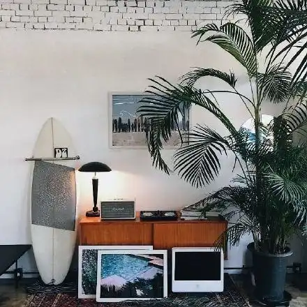 治愈文案背景图好像所有的美好都发生在夏天
