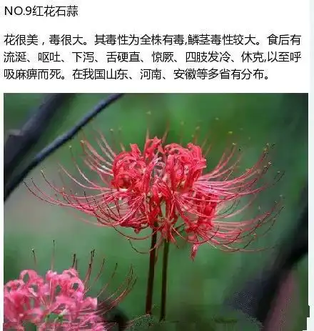 警惕4个男孩路边呕吐,一人陷入昏迷原因让人后怕
