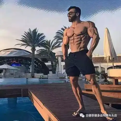 部位训练先后顺序有关系吗初学者该如何安排
