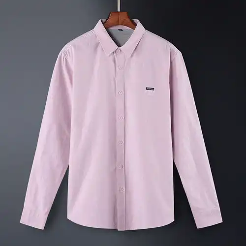 汤河之家2020春夏男装长袖牛津纺衬衫男士修身纯棉刺绣男式衬衣男新款a
