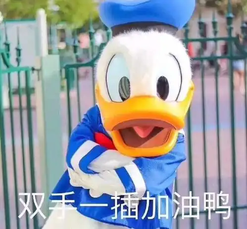 25岁的我,被一个5岁男孩的简历暴击...
