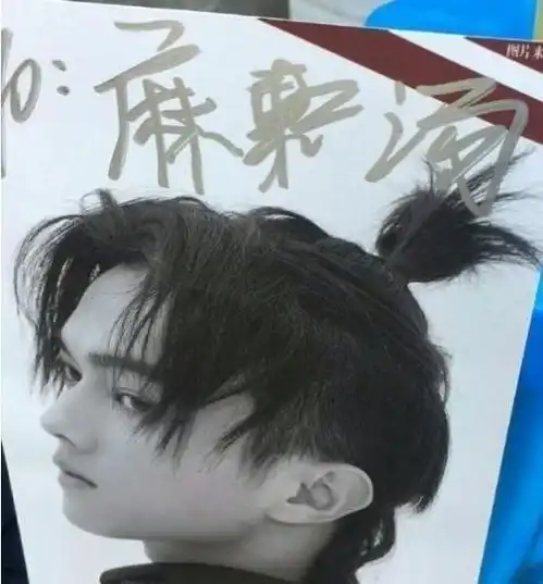 王珞丹成字体被收入笔尖上的中国首位女星,她的字有多牛逼
