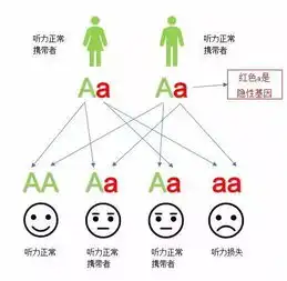 耳聋基因检测的必要性安庆助听器

