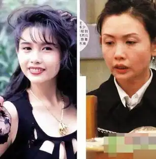 港姐今昔对比哪些依旧美丽哪些沦为路人组图
