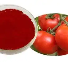 黄页88高清图片
