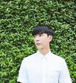 适合校园男生的时尚发型,校草男神非你莫属,简直太帅了
