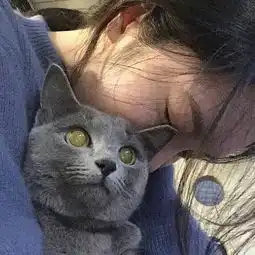 十万毫升泪水
