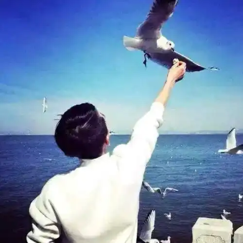 男生头像