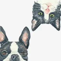 小狗小猫头像图片素材图片免费下载高清卡通手绘psd千库网图片编号6119420
