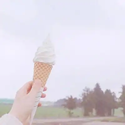 食物和上瘾政策和社区性尝试

