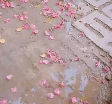 脚踏实地工作,越过越有的星座
