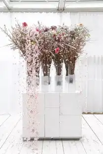 樱花季,约上小哥哥一起去赏花
