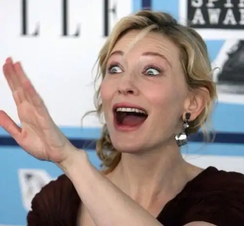 将自己尖锐的一面放在适合的位置,这就是布兰切特成功的秘诀
