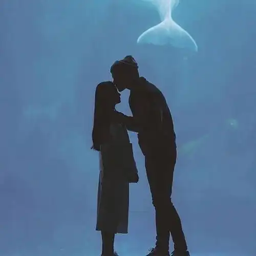 失恋后你该怎么做决定,先问问自己的内心
