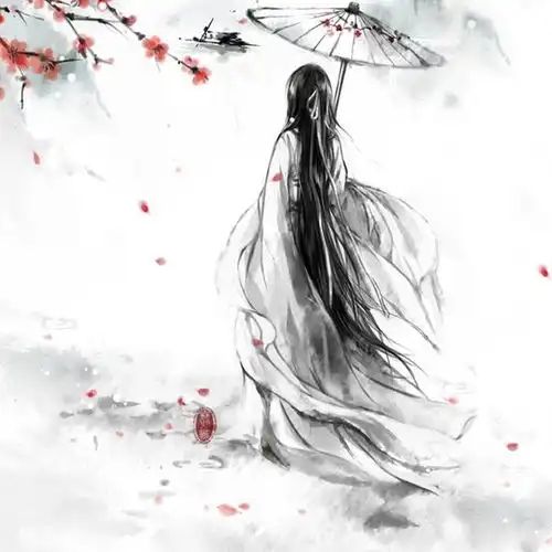 中国风歌曲串烧小提琴版
