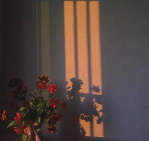 可以把双鱼座克制的死死的星座
