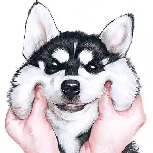 微信头像丨男生,女生,情侣头像,个性头像
