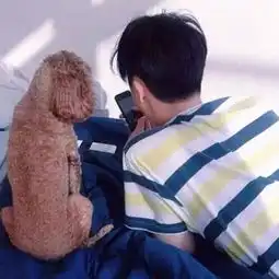 滑板xl曾文觉最酷的男生游戏名字

