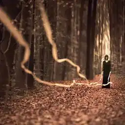 20条微信头像铁律,从头像看出你的性格
