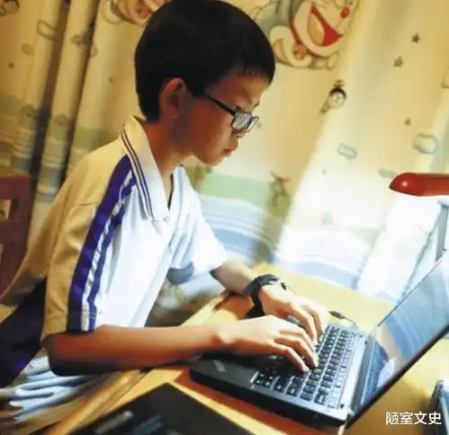 中国小黑客汪正扬12岁时因作业太多黑掉校园网,后来他怎样了
