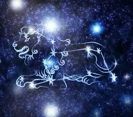 属马狮子座男生性格特征分析
