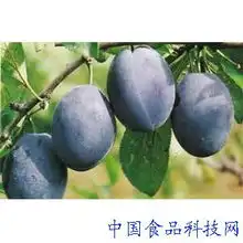 饮食营养九大养血补肾黑色食物让你更健康
