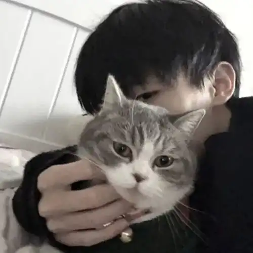 omg头像玄学,是谁的前男友又中招了
