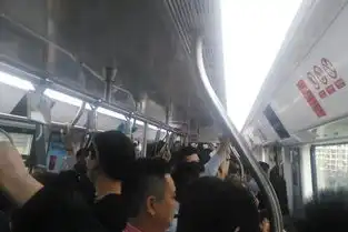 男子摘珍稀植物发抖音被调查专家一生只开1次花
