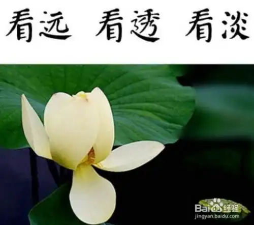 表现人性的句子
