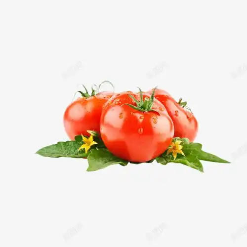 蔬菜西红柿高清素材元素设计图片页面网页平面电商创意素材png素材果园素材
