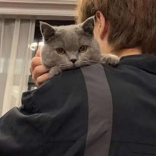 超绝男生头像年年岁岁,与过去和解,对岁月温柔
