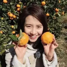 不只是姜gary,连女生都认为宋智孝素颜最美
