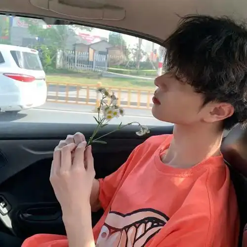 头像背景图套图
