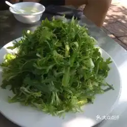 鸿运农家乐园的拌苦菊好不好吃用户评价口味怎么样长清区美食拌苦菊实拍图片大众点评
